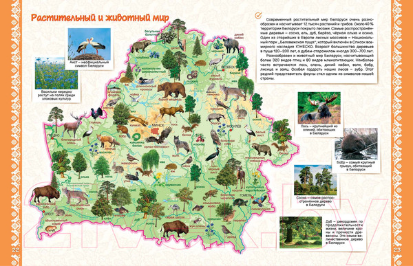 Изображение товара Атлас Белкартография Моя Беларусь. Атлас для детей