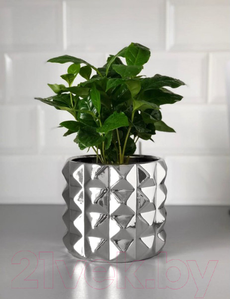 Изображение товара Кашпо Polnix Moon 05.152.15