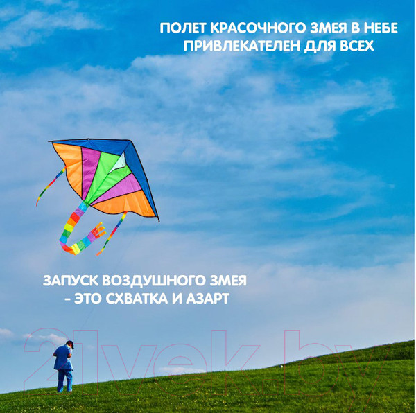 Изображение товара Воздушный змей Bondibon ВВ0496