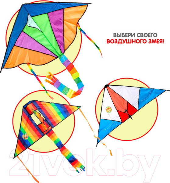 Изображение товара Воздушный змей Bondibon ВВ0496