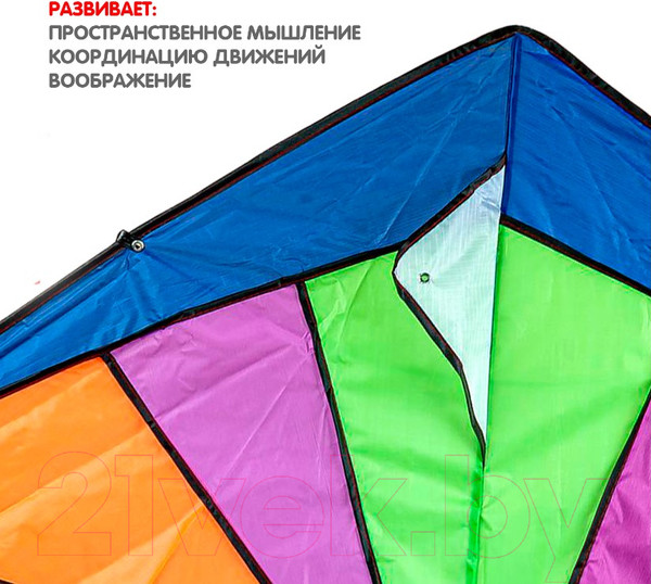 Изображение товара Воздушный змей Bondibon ВВ0496