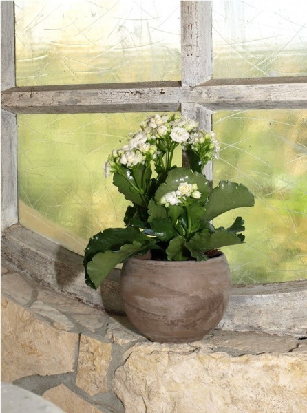 Изображение товара Кашпо Cermax Kula Basal / T-057-126-14-T