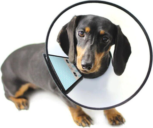 Изображение товара Воротник защитный Triol 32351003 (M)