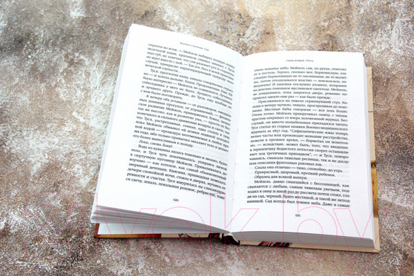 Изображение товара Книга АСТ Сад (Степнова М.Л.)
