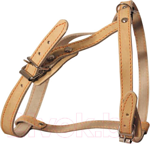 Изображение товара Шлея Gamma Gamma 11332003