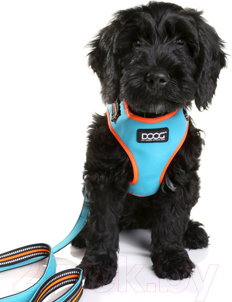 Изображение товара Шлея-жилетка для животных DOOG Neoflex Beethoven / HARBEET-M (голубой с оранжевым кантом)
