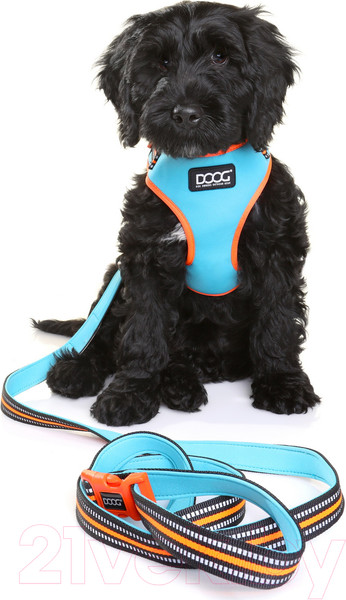 Изображение товара Шлея-жилетка для животных DOOG Neoflex Beethoven / HARBEET-M (голубой с оранжевым кантом)