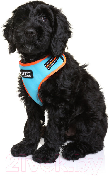 Изображение товара Шлея-жилетка для животных DOOG Neoflex Beethoven / HARBEET-M (голубой с оранжевым кантом)