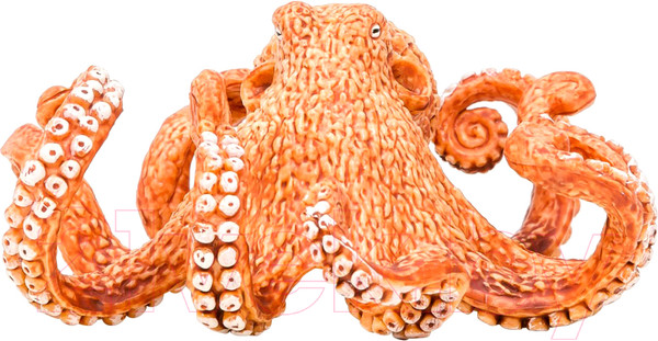 Изображение товара Набор фигурок коллекционных Masai Mara Мир морских животных / ММ203-012