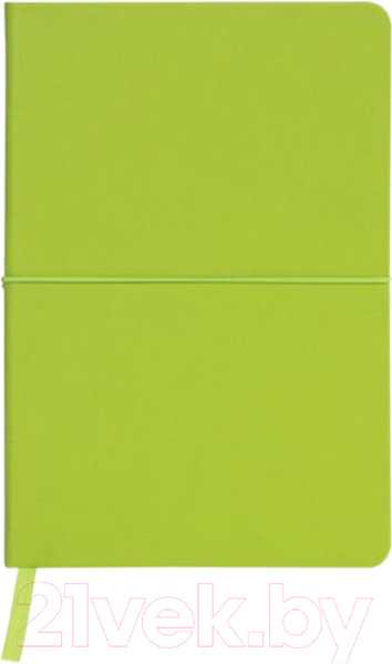Изображение товара Записная книжка Brauberg Metropolis X / 111033 (светло-зеленый)
