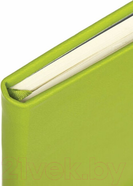 Изображение товара Записная книжка Brauberg Metropolis X / 111033 (светло-зеленый)