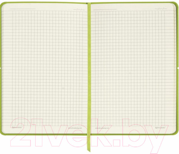 Изображение товара Записная книжка Brauberg Metropolis X / 111033 (светло-зеленый)