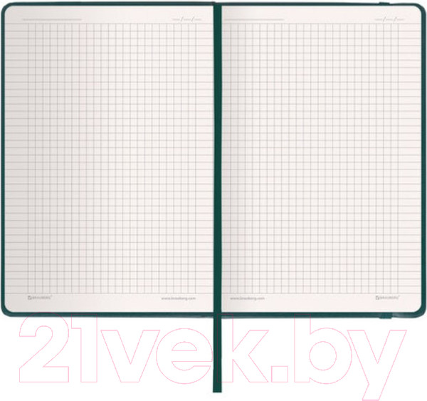 Изображение товара Записная книжка Brauberg Metropolis / 111583 (зеленый)