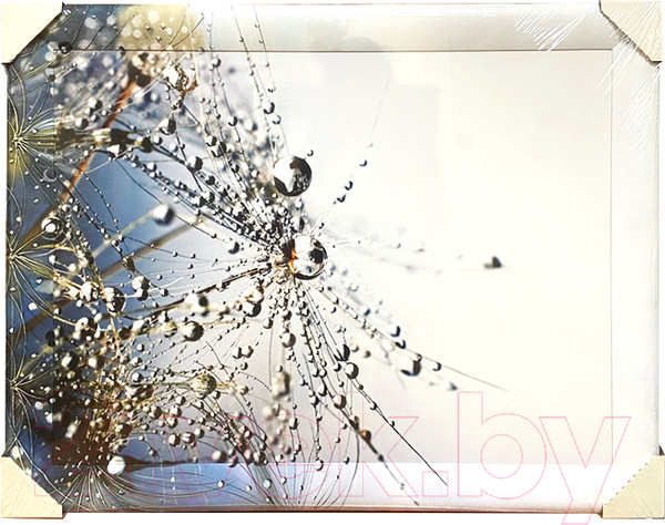 Изображение товара Картина Декарт Абстракция капли 8Л3028 (в раме)