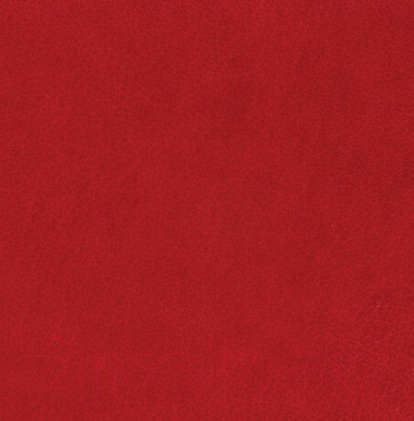 Изображение товара Ежедневник Brauberg Rainbow / 111667 (красный)