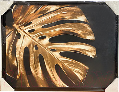 Изображение товара Картина Декарт Листья монстера-1 8Л3030 (в раме)