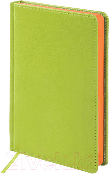 Изображение товара Ежедневник Brauberg Rainbow / 111669 (зеленый)