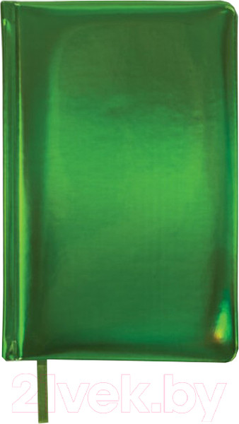 Изображение товара Ежедневник Brauberg Holiday / 111672 (зеленый)