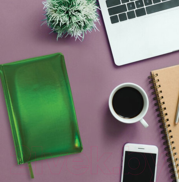 Изображение товара Ежедневник Brauberg Holiday / 111672 (зеленый)