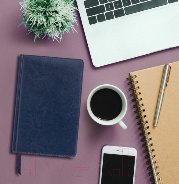 Изображение товара Ежедневник Brauberg Imperial / 123413 (кремовый/темно-синий)