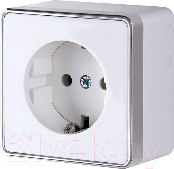 Изображение товара Розетка Werkel W5071001 / a051584 (белый)