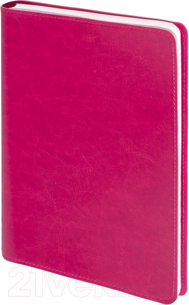 Изображение товара Блокнот Brauberg Office Pro / 111042 (красный)