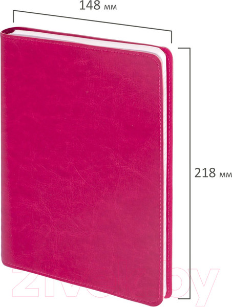 Изображение товара Блокнот Brauberg Office Pro / 111042 (красный)