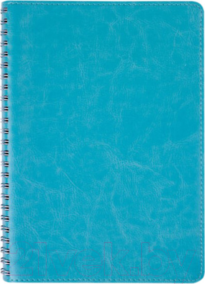 Изображение товара Блокнот Brauberg Office Pro / 111043 (бирюзовый)