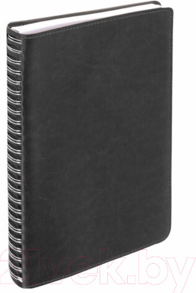 Изображение товара Блокнот Brauberg Office Pro / 111046 (черный)