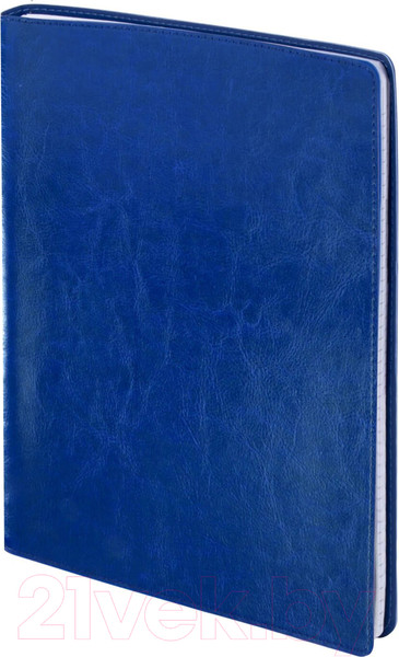 Изображение товара Блокнот Brauberg Office Pro / 111048 (синий)