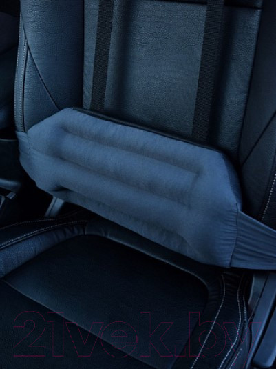 Изображение товара Подушка для спины Smart Textile Дальнобойщик-Люкс 40x20x7 / T572 (лузга гречихи)