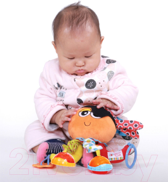 Изображение товара Подвеска на кроватку Biba Toys Пират Джэк / OC165