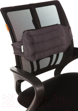 Изображение товара Подушка для спины Smart Textile Офис 40x20x5 / T511 (лузга гречихи)