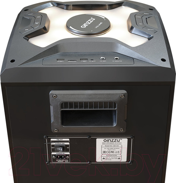 Изображение товара Портативная колонка Ginzzu GM-203