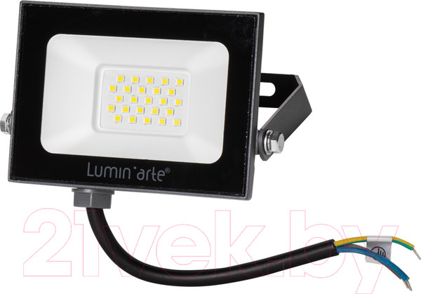 Изображение товара Прожектор LuminArte LFL-20W/05