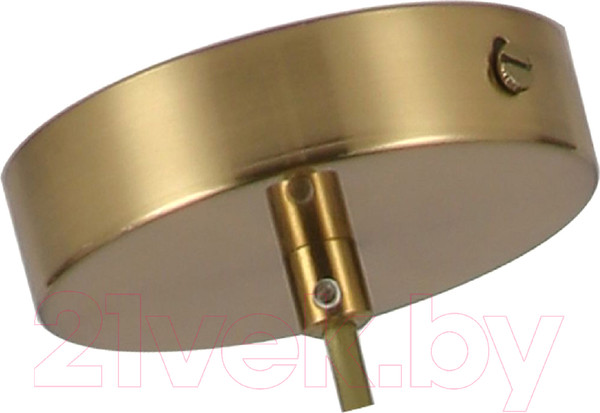 Изображение товара Потолочный светильник F-Promo Oportet F-Promo 2788-1P