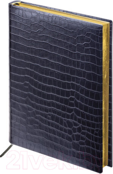 Изображение товара Ежедневник Brauberg Comodo / 124974 (черный)