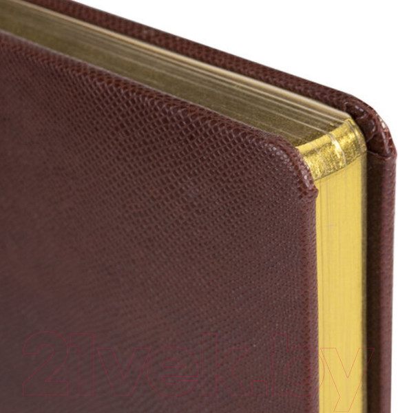 Изображение товара Ежедневник Brauberg Iguana / 125090 (темно-коричневый)