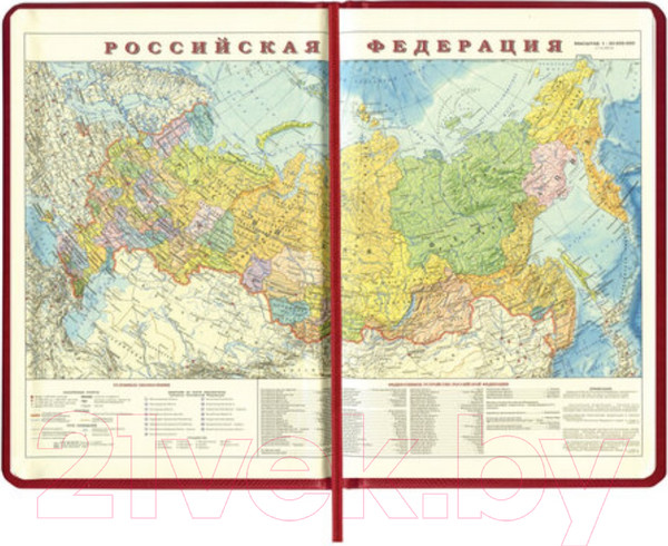 Изображение товара Ежедневник Brauberg Iguana / 125092 (бордовый)