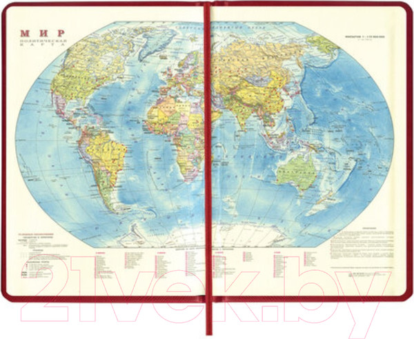 Изображение товара Ежедневник Brauberg Iguana / 125092 (бордовый)