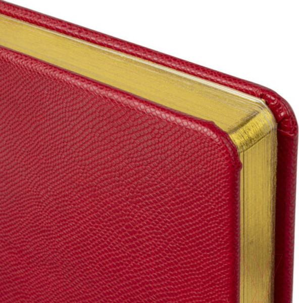 Изображение товара Ежедневник Brauberg Iguana / 125092 (бордовый)