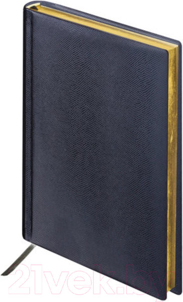 Изображение товара Ежедневник Brauberg Iguana / 125104 (черный)