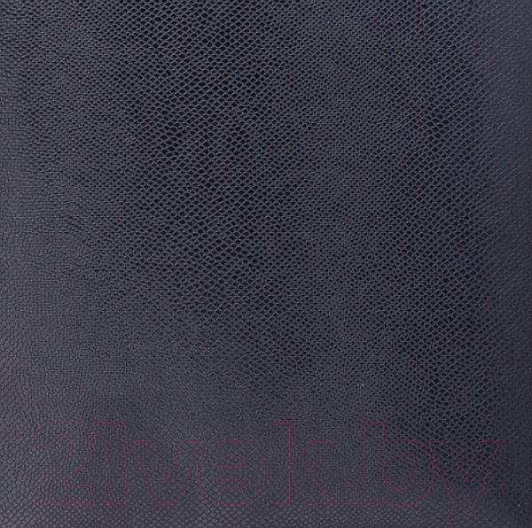 Изображение товара Ежедневник Brauberg Iguana / 125104 (черный)