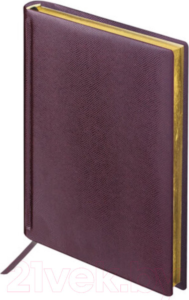 Изображение товара Ежедневник Brauberg Iguana / 125105 (темно-коричневый)