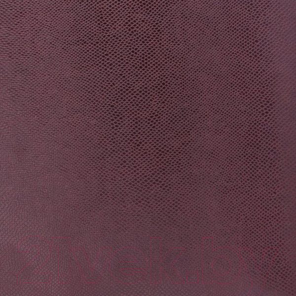 Изображение товара Ежедневник Brauberg Iguana / 125105 (темно-коричневый)