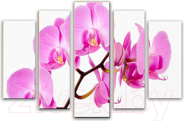 Изображение товара Картина модульная Arthata 5m-349 (160x90)