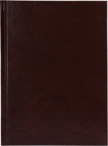 Изображение товара Ежедневник Проф-Пресс Бумвинил / 128-4929 (коричневый)