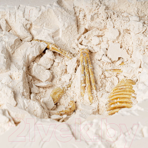 Изображение товара Набор для опытов Bondibon Исторические раскопки. Динозавры Археоптерикс / ВВ5143