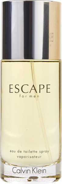 Изображение товара Туалетная вода Calvin Klein Escape for Man (100мл)