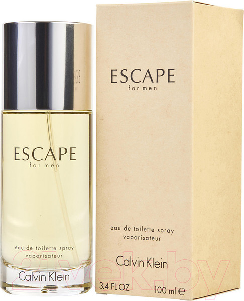 Изображение товара Туалетная вода Calvin Klein Escape for Man (100мл)